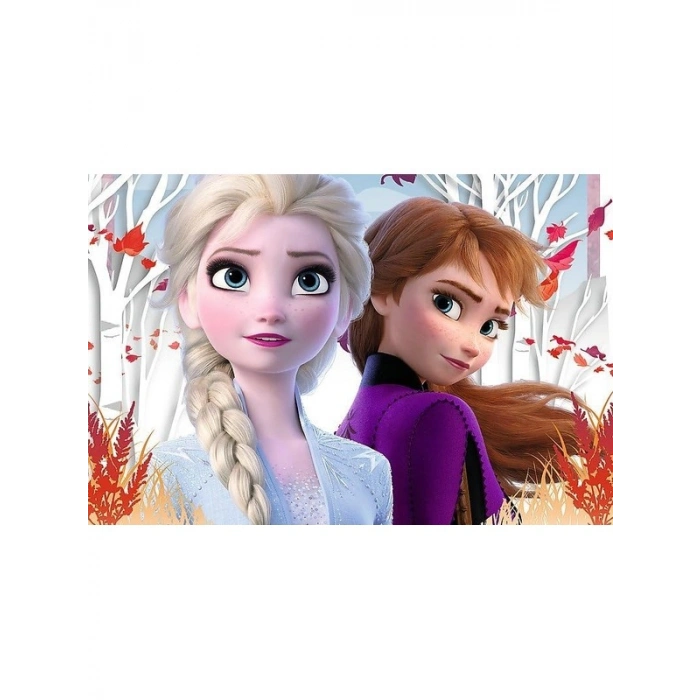 60 Adet Karlar Ülkesi Temalı Renkli Kart Seti