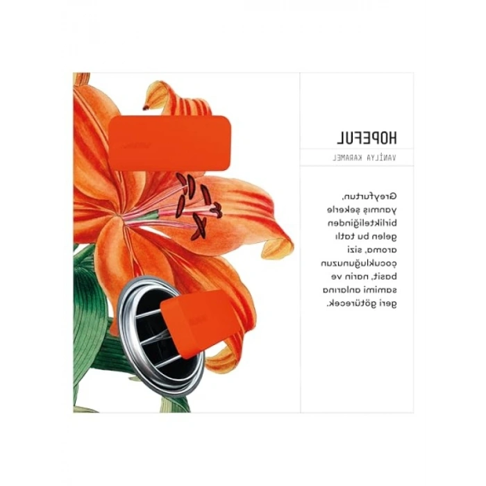 60 Gün Etkili Araç İçi Klima Kokusu - Vanilya & Karamel