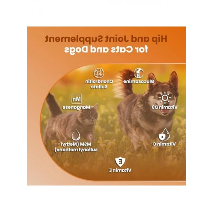 60 tablet kedi ve köpekler için eklem güçlendirici