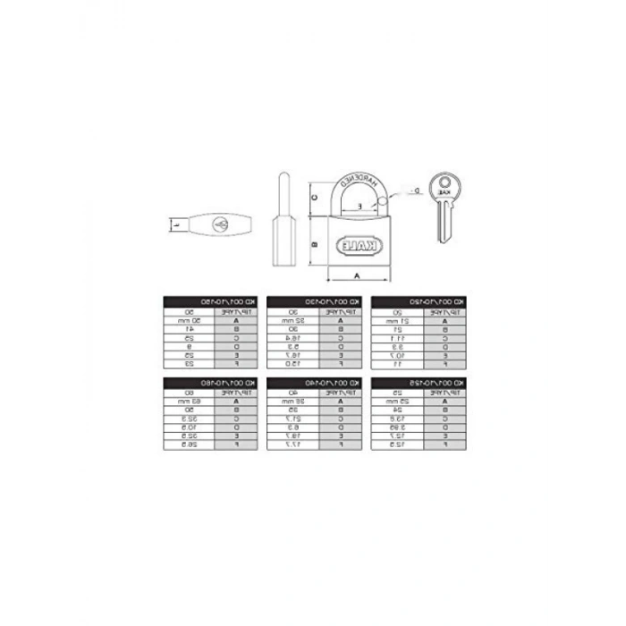 63 mm Gri Asma Kilit