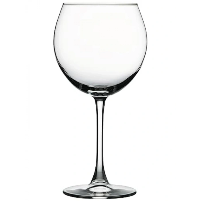 655 cc Kapasiteye Sahip 2li Şarap Kadehi Seti