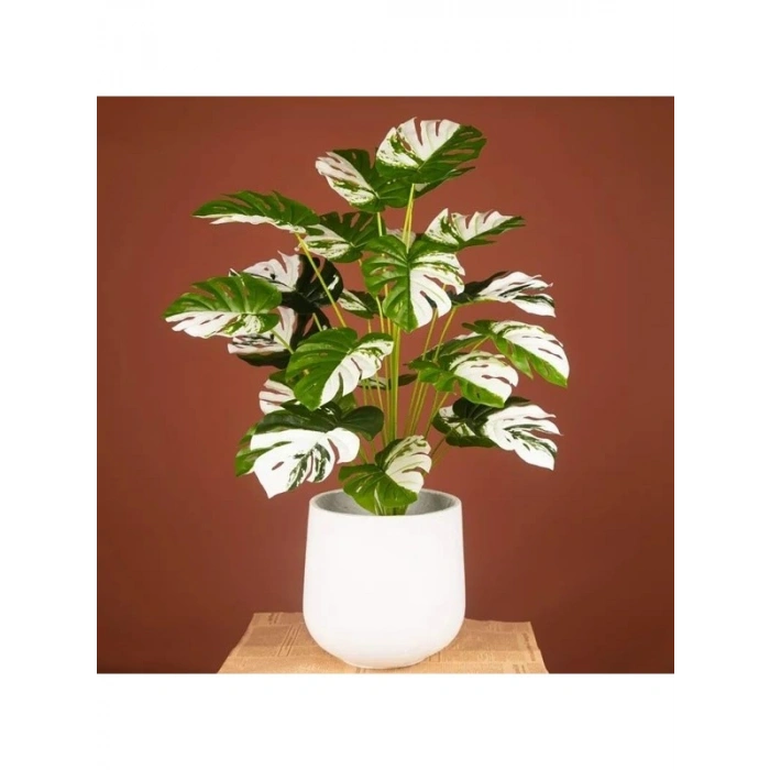 70 cm Boyunda Yeşil Beyaz Yapay Monstera Saksı Bitkisi, 12 Dal