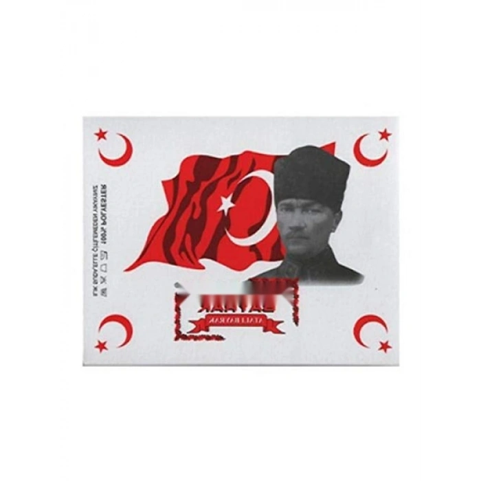 70x105 cm Ebatında Profesyonel Türk Bayrağı