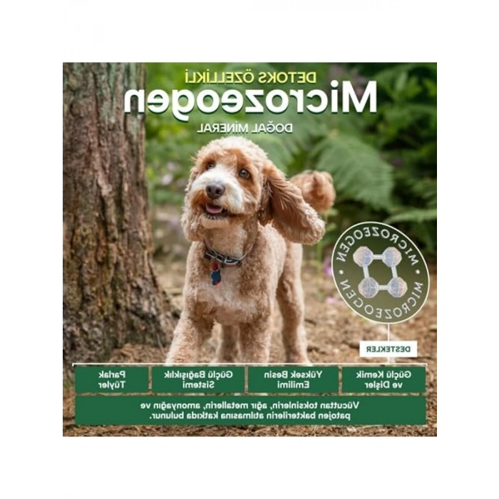 7,5 Kg Küçük Irk Somonlu Yetişkin Köpek Maması