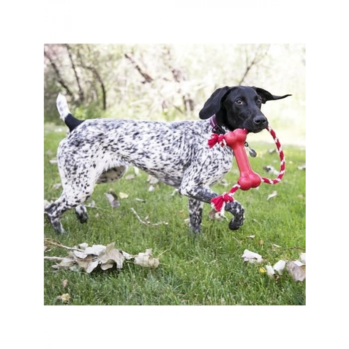 78836 Goodie Bone, Halatlı, XS