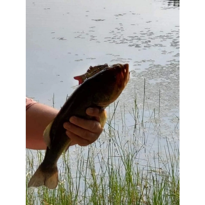 8 Eklemli 3D Oynak Sahte Balık Yem