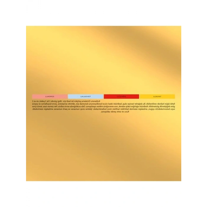 85 gr Kıyılmış Tavuk Etli Yaş Kedi Maması, Multipack 12 Al 9 Öde