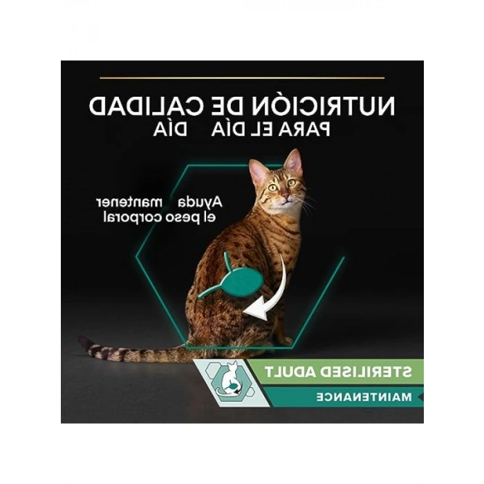 85 Gr Sığır Etli Kısır Kedi Yaş Maması