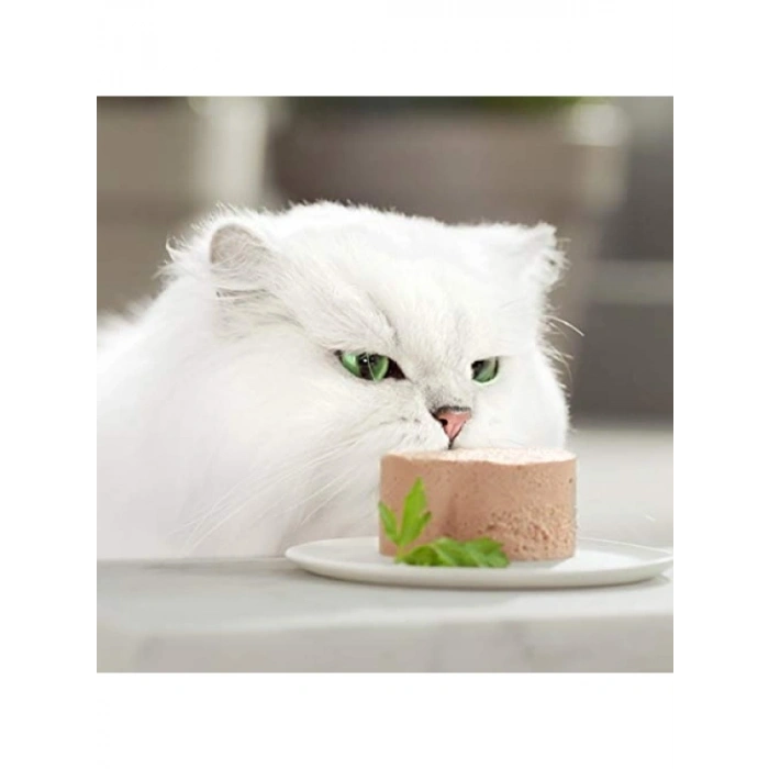 85 gr x 24 Adet Kedi Konservesi (Sığır Etli)