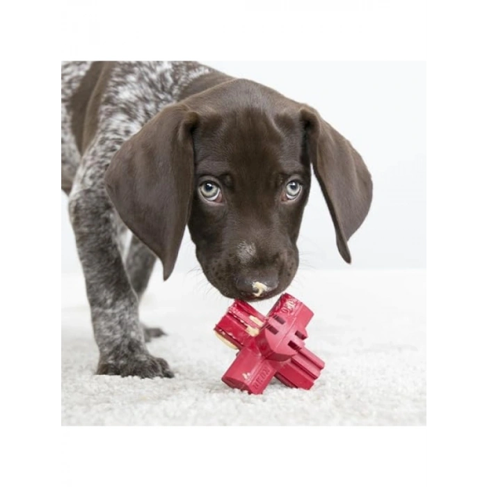 9 cm Boyutunda Köpek Diş Bakım Oyuncak