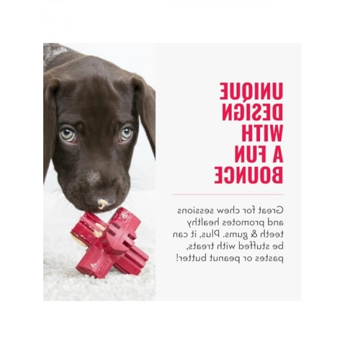 9 cm Boyutunda Köpek Diş Bakım Oyuncak