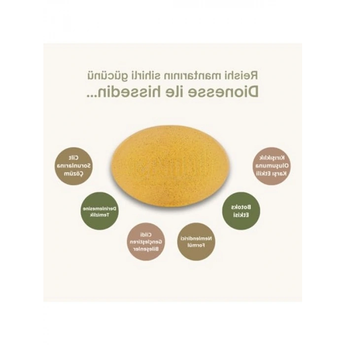 90 gr Yenileyici Reishi Mantarı Sabunu