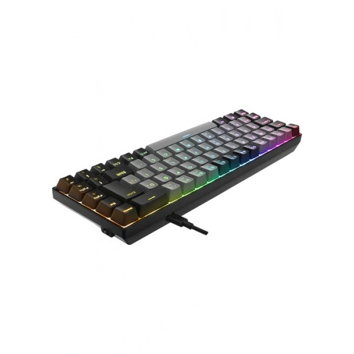 Acer Emachines EAK68 Gri/siyah USB Rgb Backlight Red Swıtch Mekanik Q 68 Tuşlu Mini Gaming Oyuncu Klavye