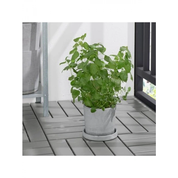 Açık Gri Saksı Altlığı, 15 cm Çapında