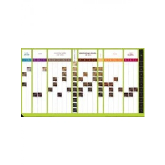 Açık Kumral İrize Küllü Saç Boyası - 60 ml