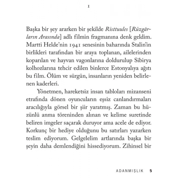 Adanmışlık - Patti Smith Domingo Yayınevi Normal Boy Türkçe Basım Kitap