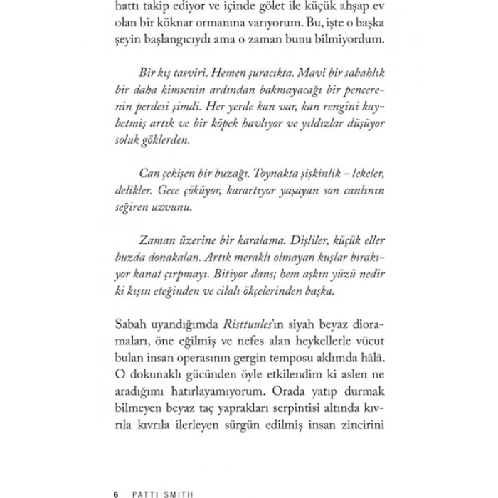 Adanmışlık - Patti Smith Domingo Yayınevi Normal Boy Türkçe Basım Kitap