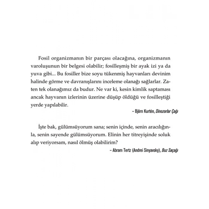 Ademden Önceki̇ Yaşam - Margaret Atwood