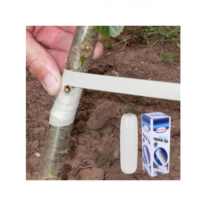 Ağaç Meyve Aşı Bandı - 3 Adet 170 Gram