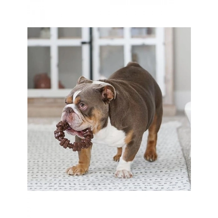 Agresif Çiğneme İçin 3 Farklı Şekilde Köpek Oyuncakları