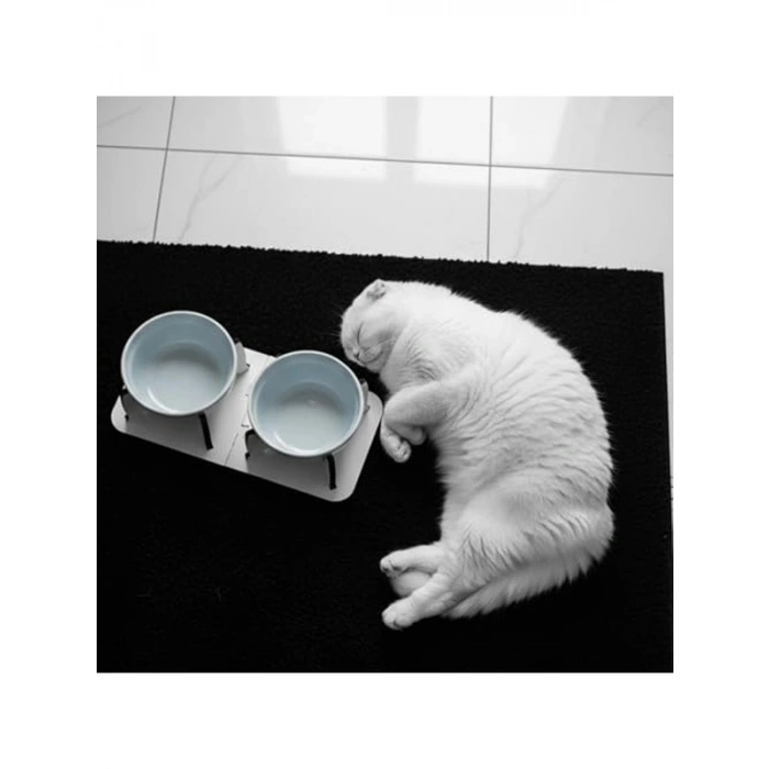 Ahşap Ayrılabilir Tabanlı Kedi Köpek Mama Kabı Seti, Mavi Seramik