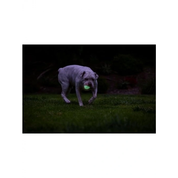 Air Glow Getirme Topu, Orta Boy, 20-60 lb İçin