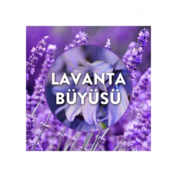 Air Wick Elektrikli Oda Kokusu Yedek Şişe Lavanta Bahçesi 19ML
