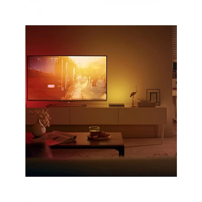 Akıllı Aydınlatma Sistemi - 2li Renk Değiştiren Işık Seti