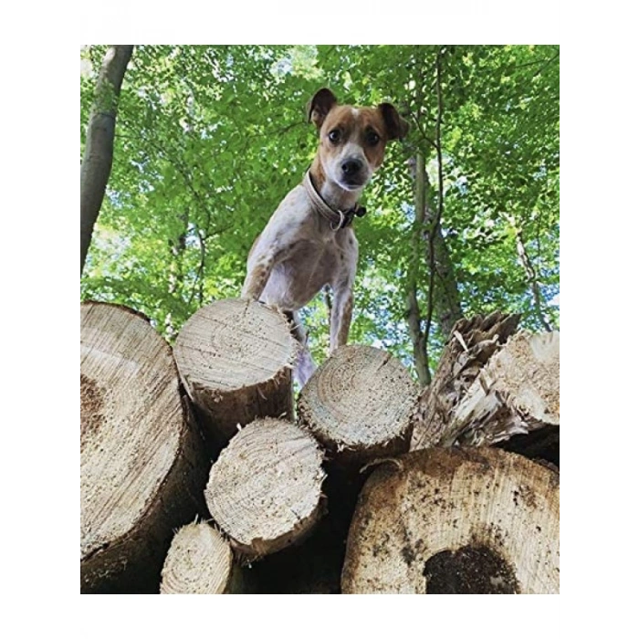 Akıllı Künyeli Köpek Boyun Tasması – S Boyut, Etnik Desen