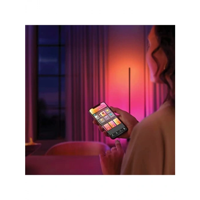 Akıllı LED Zemin Lambası, Gradient Renkli Aydınlatma, Siyah