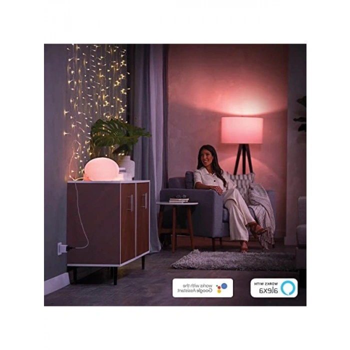 Akıllı Priz, Uygulama Kontrolü ve Sesli Komut Uyumlu