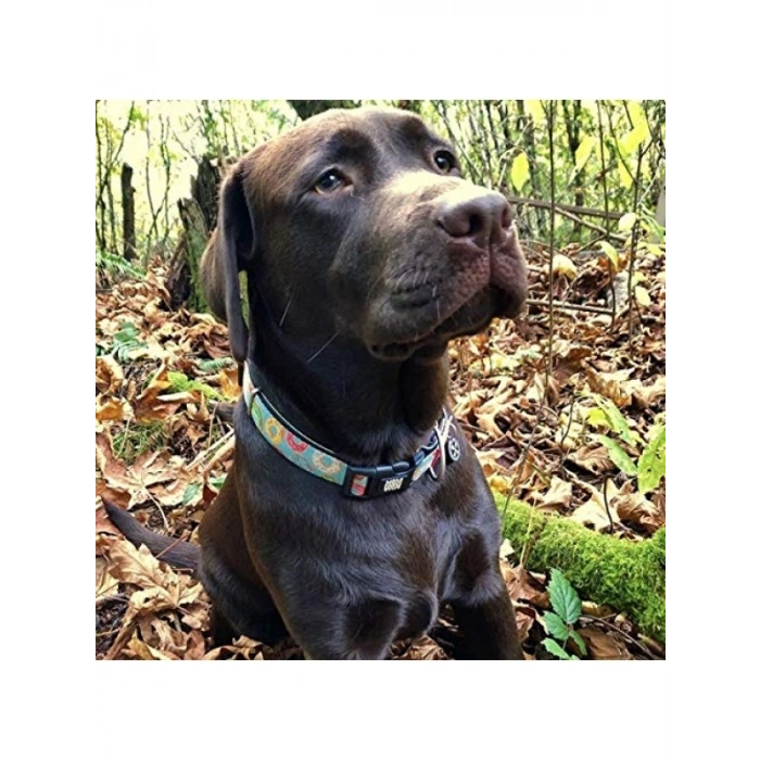 Akıllı QR Kodlu Köpek Boyun Tasması - L Boyutu (Donuts Deseni)
