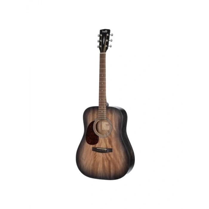 Akustik Gitar, Açık Gözenekli Mat Siyah Renk, 4/4 Boyut