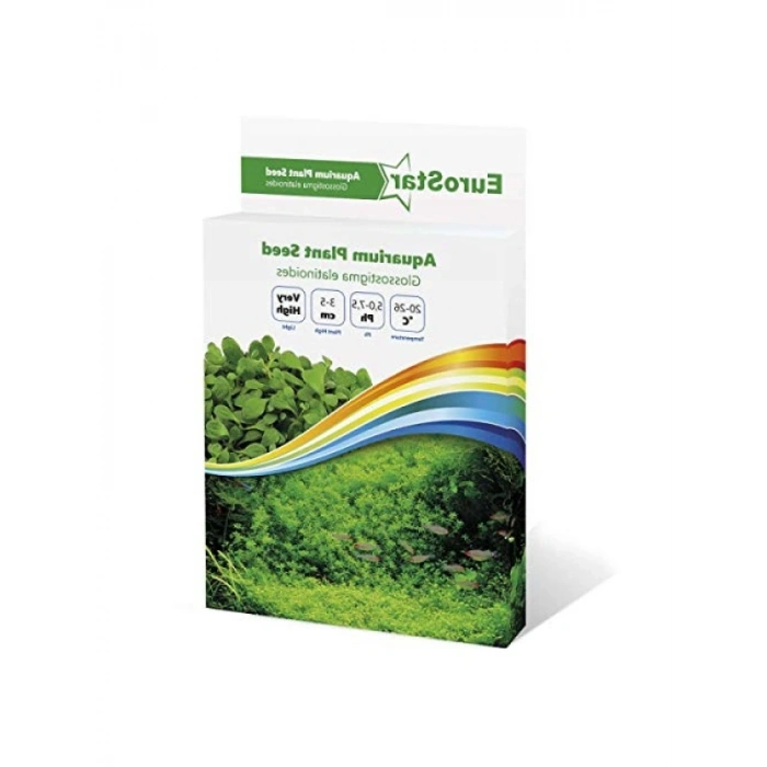 Akvaryum Bitkisi Tohumu - Glossostigma Elatinoides