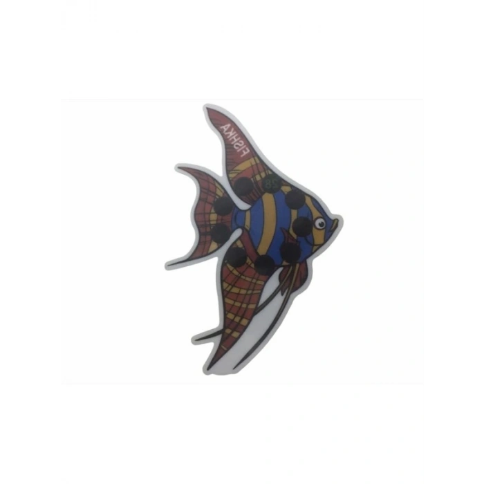 Akvaryum Yapışkan Melek Balığı Derece