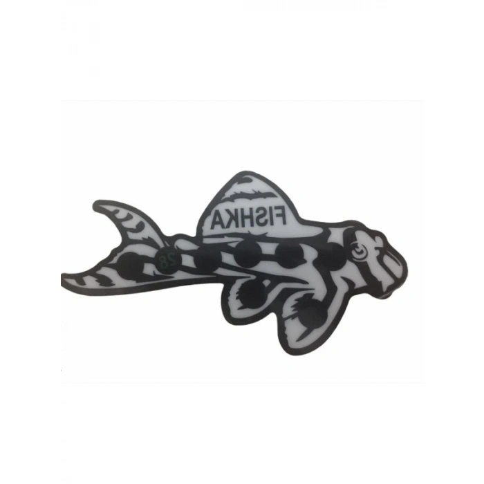 Akvaryum Yapışkan Vatoz Balığı Derece