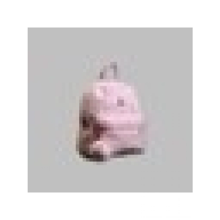 Alfa Çanta Pembe Kız Çocuk Çantası 02AYH219980A490