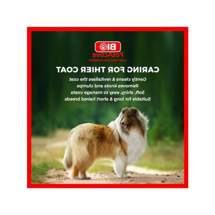 Aloe Vera Özlü Köpek Şampuanı 400 Ml