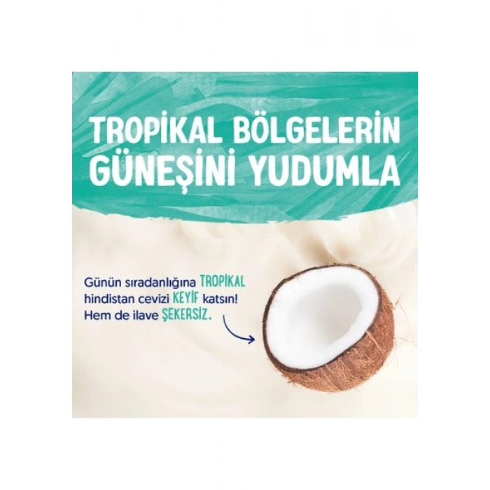 Alpro Hindistan Cevizi Sütü 4x1 L Vegan Laktozsuz Bitkisel Bazlı