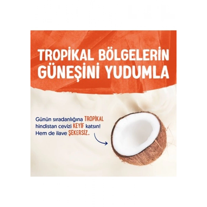 Alpro Şekersiz Hindistan Cevizi Sütü 1 L Vegan Laktozsuz Bitkisel Bazlı