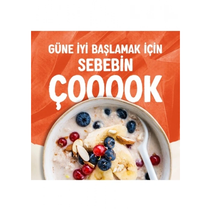 Alpro Şekersiz Yulaf Sütü 1 L Vegan Laktozsuz Bitkisel Bazlı