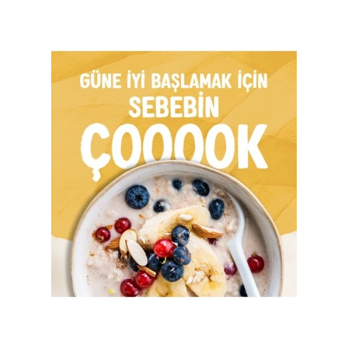 Alpro Yulaf Sütü 5x1 L Vegan Laktozsuz Bitkisel Bazlı