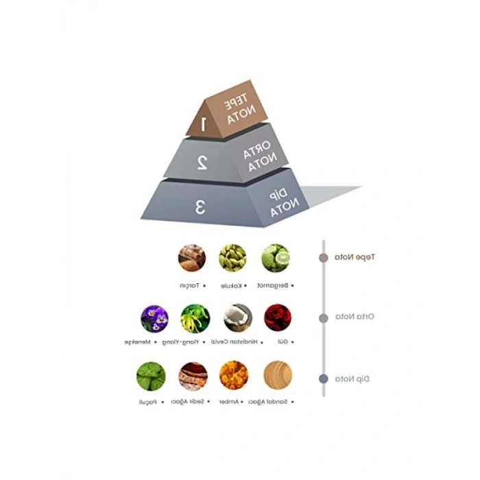 Amber Dark 100 ml Bambu Çubuklu Oda Kokusu