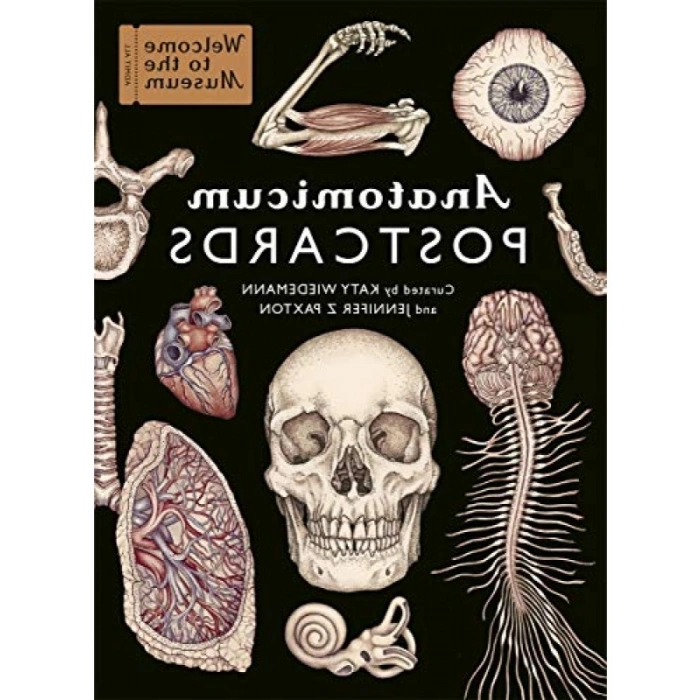 Anatomicum Postcard Box Kart Seti