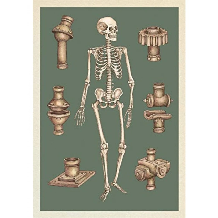 Anatomicum Postcard Box Kart Seti