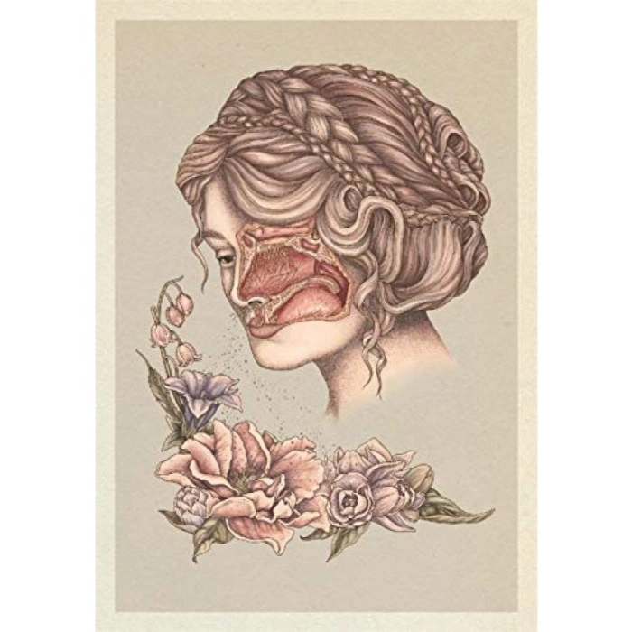 Anatomicum Postcard Box Kart Seti