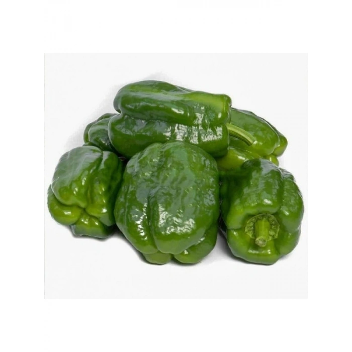 Antep Acı Dolmalık Biber Tohumu - 5 Gram