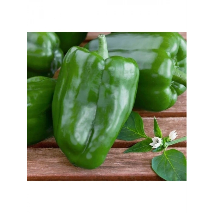 Antep Acı Dolmalık Biber Tohumu - 5 Gram