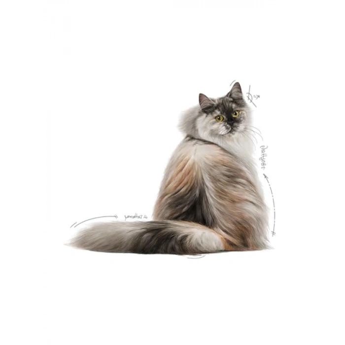 Antitoksidan İçeren Yaş Kedi Maması, 12 x 85 g