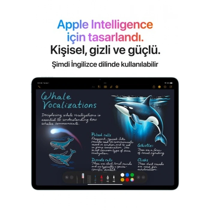 Apple iPad Air M3 13 256GB Wi-Fi Mavi MCNP4TU/A